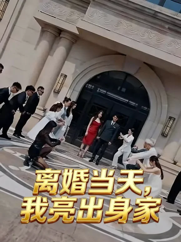 离婚当天，我亮出身家短剧海报