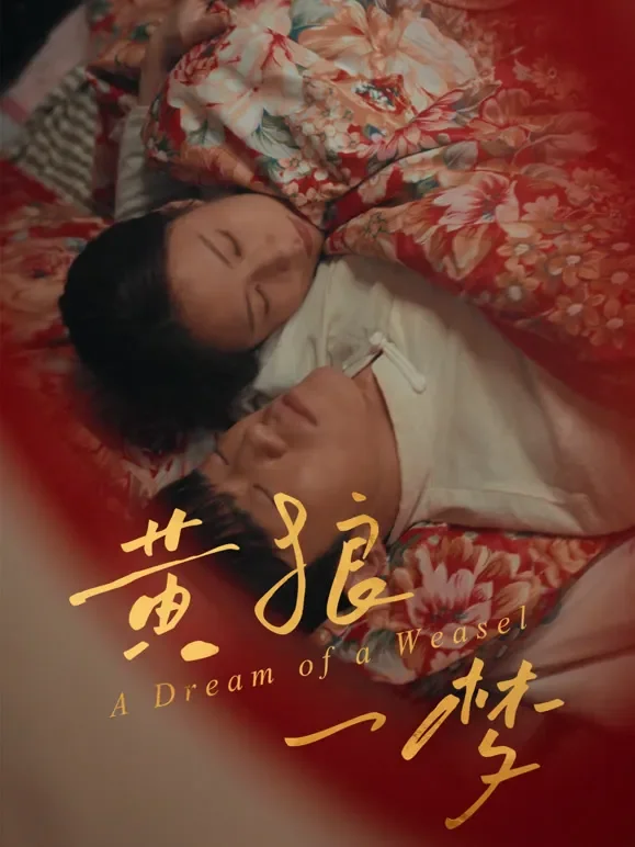黄狼一梦短剧海报