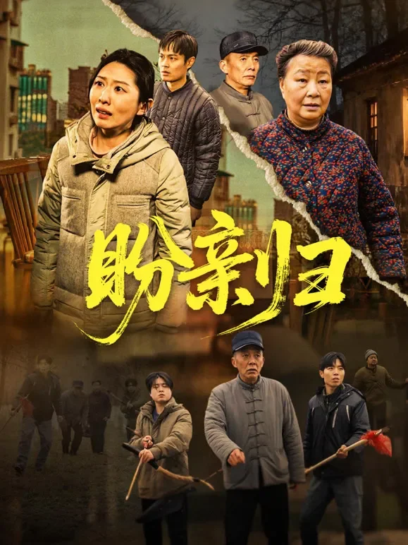 盼亲归短剧海报