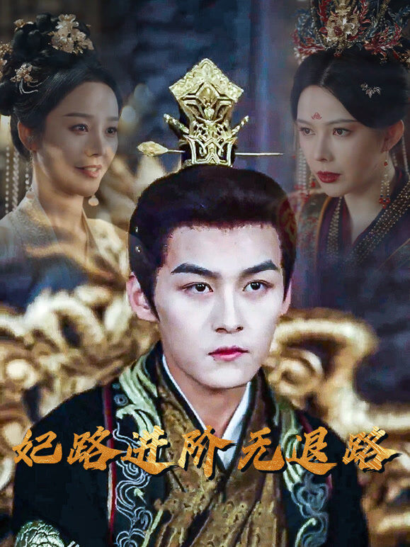 妃路进阶无退路