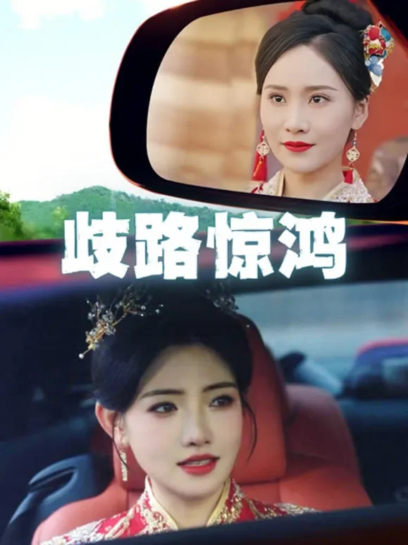 歧路惊鸿短剧海报