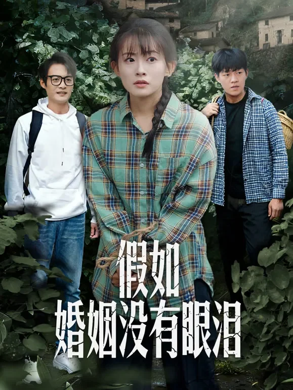假如婚姻没有眼泪短剧海报