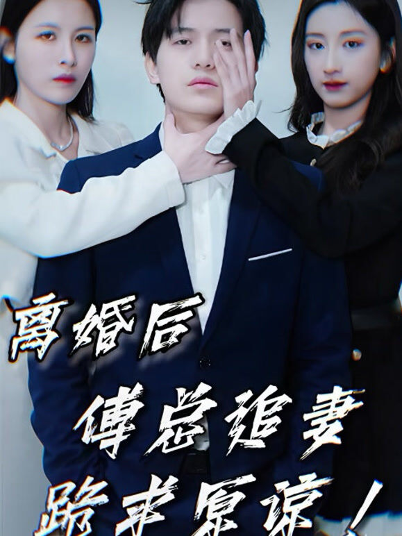 离婚后，傅总追妻跪求原谅！