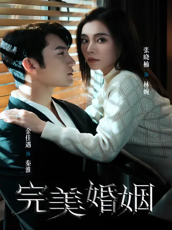 完美婚姻短剧海报