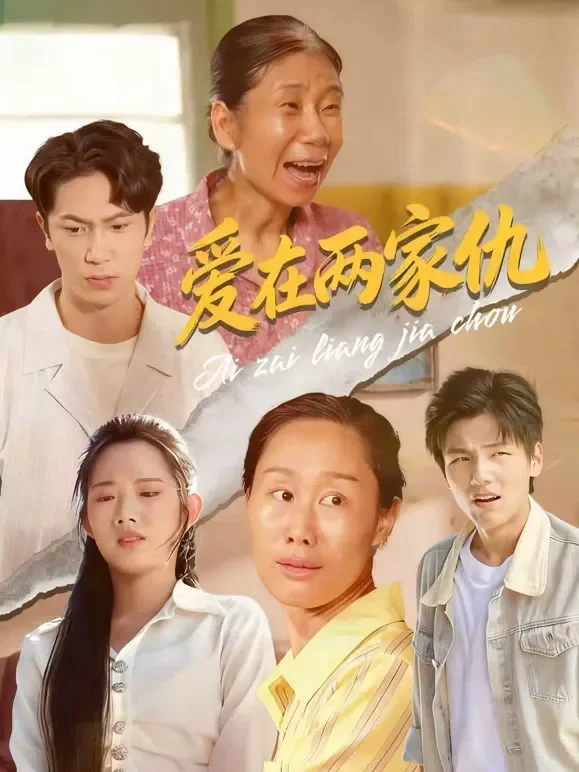 爱在两家仇短剧海报