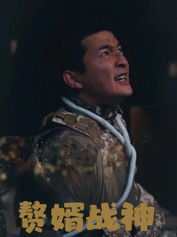 赘婿战神