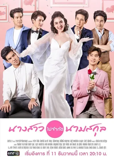 小姐芳名电视剧海报