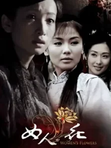 女人花电视剧海报