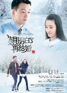 想明白再结婚电视剧海报