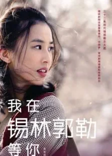 我在锡林郭勒等你电视剧海报