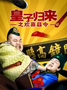 欢喜县令电视剧海报