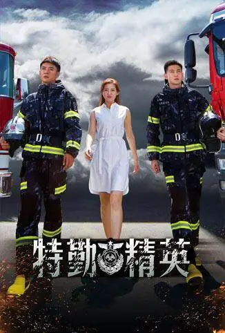 特勤精英电视剧海报