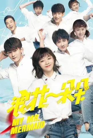 浪花一朵朵电视剧海报