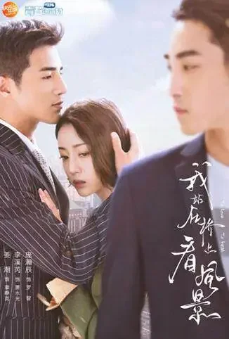 我站在桥上看风景 DVD版电视剧海报