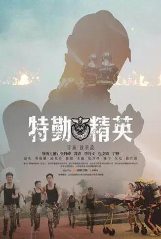 特勤精英 DVD版电视剧海报