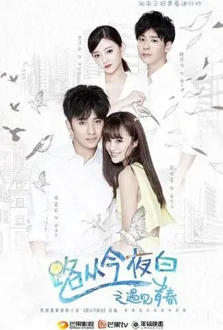 路从今夜白之遇见青春 DVD版电视剧海报