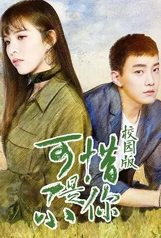 可惜不是你 校园版电视剧海报