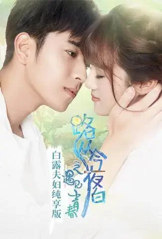 路从今夜白 白露夫妇纯享版电视剧海报