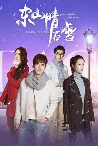 东山晴后雪电视剧海报