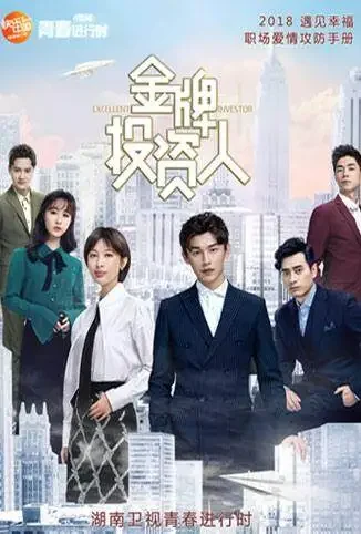金牌投资人 DVD版电视剧海报