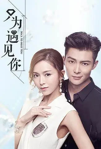 只为遇见你电视剧海报
