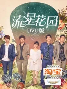 流星花园DVD版电视剧海报