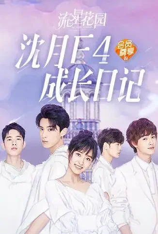 流星花园 沈月F4成长日记电视剧海报