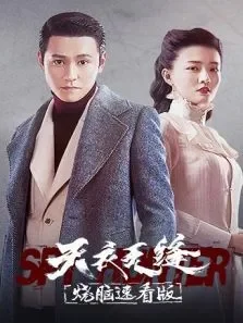 天衣无缝烧脑速看版电视剧海报