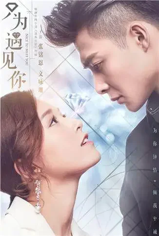 只为遇见你 DVD版电视剧海报