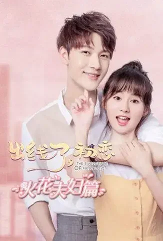 出线了，初恋 火花夫妇篇电视剧海报