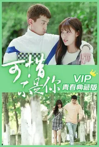 可惜不是你 VIP青春典藏版电视剧海报