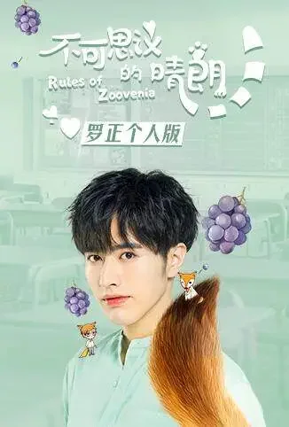 不可思议的晴朗 罗正个人版电视剧海报