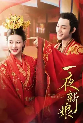 一夜新娘电视剧海报
