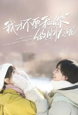 我才不要和你做朋友呢电视剧海报
