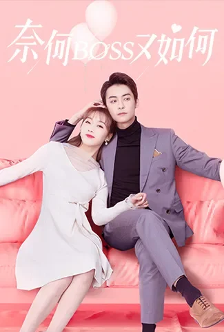 奈何BOSS又如何电视剧海报