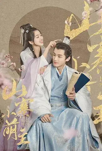 山寨小萌主电视剧海报