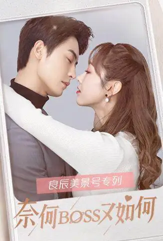 奈何BOSS又如何 良辰美景号专列电视剧海报