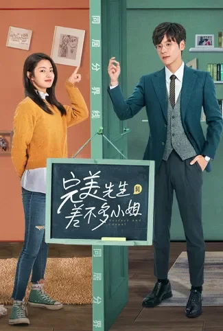 完美先生和差不多小姐电视剧海报