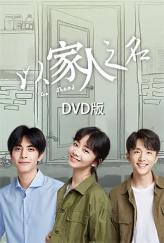 以家人之名 DVD版电视剧海报