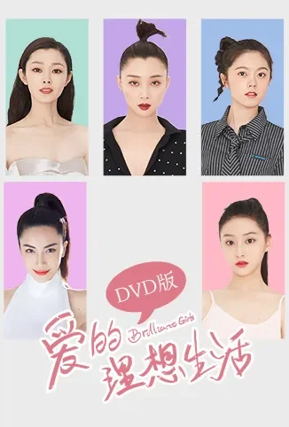 爱的理想生活 DVD版电视剧海报