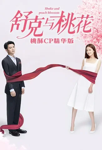 舒克与桃花 桃酥CP精华版电视剧海报