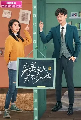 完美先生和差不多小姐 越南语版电视剧海报