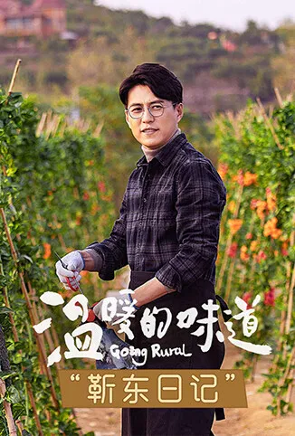 温暖的味道 靳东日记电视剧海报