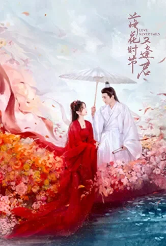 落花时节又逢君电视剧海报