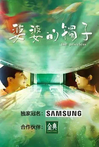 婆婆的镯子电视剧海报