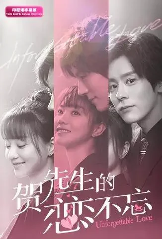 贺先生的恋恋不忘 印尼语字幕版电视剧海报