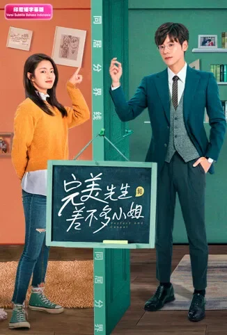 完美先生和差不多小姐 印尼语字幕版电视剧海报