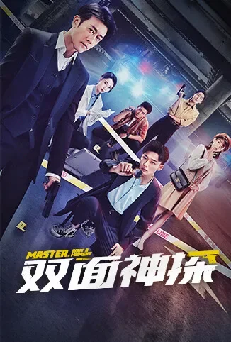 双面神探电视剧海报