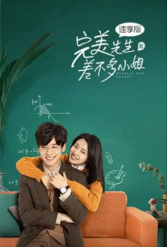 完美先生和差不多小姐 速享版电视剧海报
