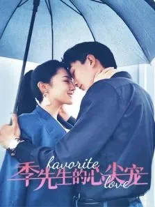 季先生的心尖宠电视剧海报
